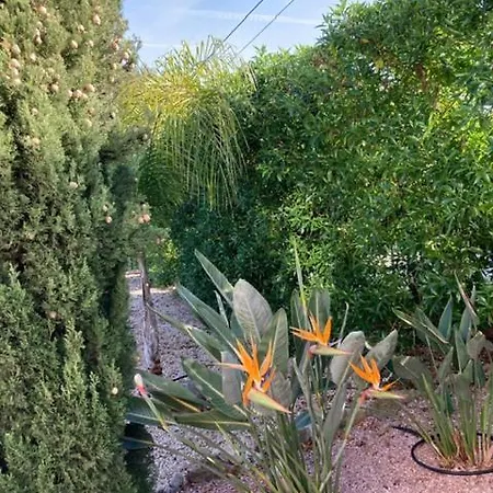 Bozena Semesterbostad Denia